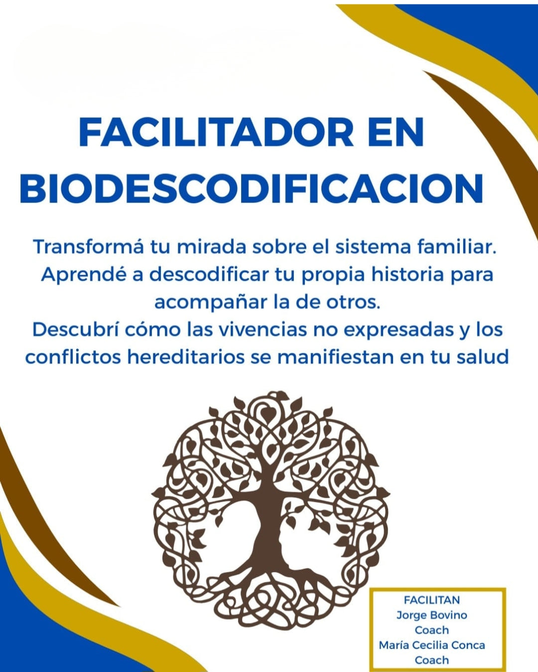 Curso Biodescodificación